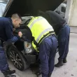 Полицаи спасиха коте, заклещено в двигател на автомобил в Пловдив СНИМКА+ВИДЕО