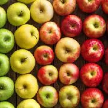 През есента когато ябълките се превръщат в основния плод на