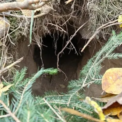 Полски граничари откриха тунел с малък диаметър под бариера на