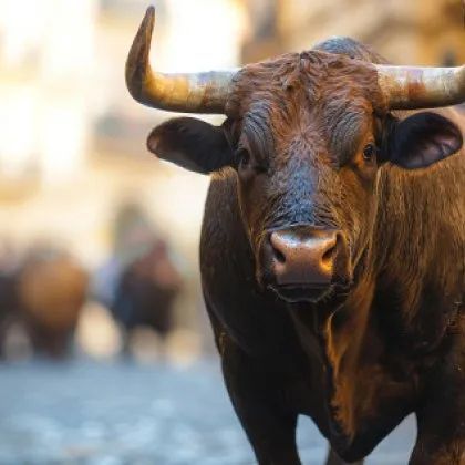 В турския град Невшехир разярил се бик предизвика истинско клане