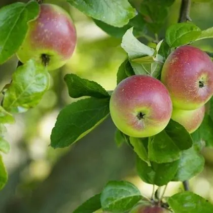 Петнадесет служители на Национална компания Железопътна инфраструктура НКЖИ са били