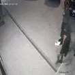 Локали наказаха миризливо столичани, заснеха се за спомен СНИМКИ