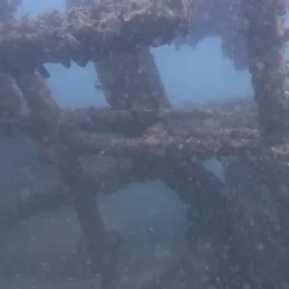 Параход потънал край Созопол преди близо 200 години беше открит и проучен от учените от Центъра