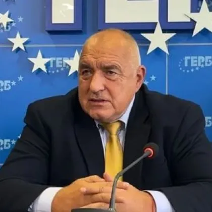 Борисов: Наложи се отново да лидирам процеса, всички други се гушат "като неловена мачка"