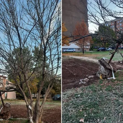 Жител на Перник сигнализира за опасна улична лампа в квартал