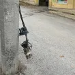 Опасни кабели пред детска градина в София. Ще се вземат ли мерки? СНИМКИ