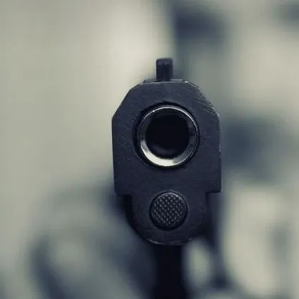 Столичанин застреля с пистолет домашен питбул докато разхожда своето куче