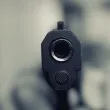 Нова версия за разстреляния питбул: Стопанинът му се разминава на косъм от куршумите СНИМКИ