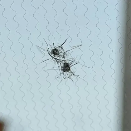 Кратък престой на автомобил на оживена улица в Стара Загора