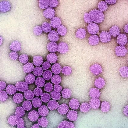 За девет години процентът на имунизираните срещу човешки папилома вирус