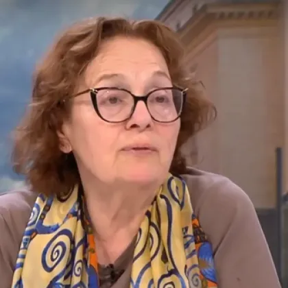 Гумите на автомобила на политоложката Румяна Коларова са били нарязани