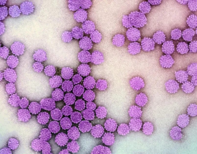 МЗ с тревожни данни: Спад във ваксинацията срещу HPV при 15-годишните момичета
