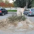 Да не пипате дънера! Това е арт инсталация с дълбок замисъл! Да не пипате дънера! Това е арт инсталация с дълбок замисъл!