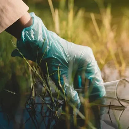 Милиони километри реки по света са замърсени с антибиотици в нива