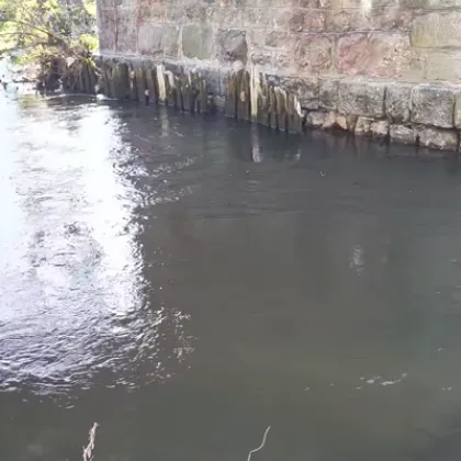 Река Елешница тази сутрин е преляла в района на Рилския