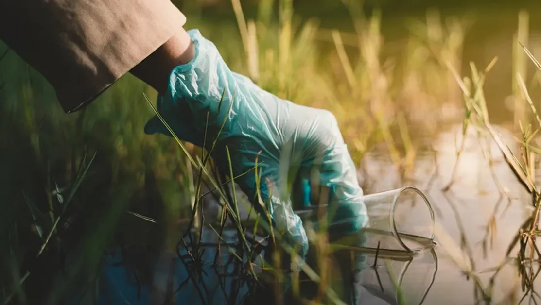 Проучване установи, че реките по света "предозират" с човешки антибиотици