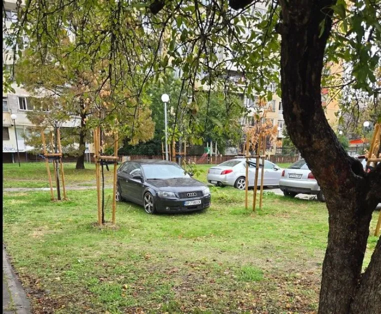Черно Ауди цъфна между фиданки на столична полянка СНИМКИ