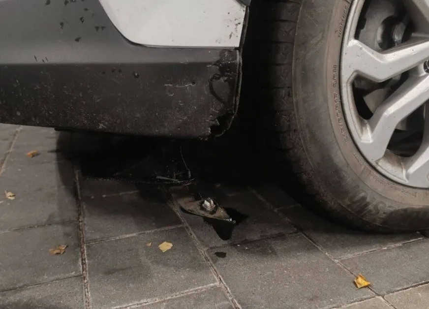 Кучета "разфасоваха" бронята на паркирана кола СНИМКИ