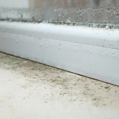 Влагата в дома е проблем който много домакинства подценяват докато