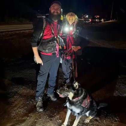 Немска овчарка спаси изгубено двегодишно дете от смърт в ледена гора Немска овчарка спаси изгубено двегодишно дете от смърт в ледена гора