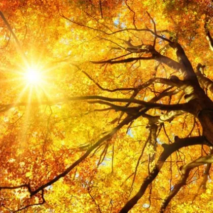 Климатологът проф Георги Рачев прогнозира изключително приятно време в началото