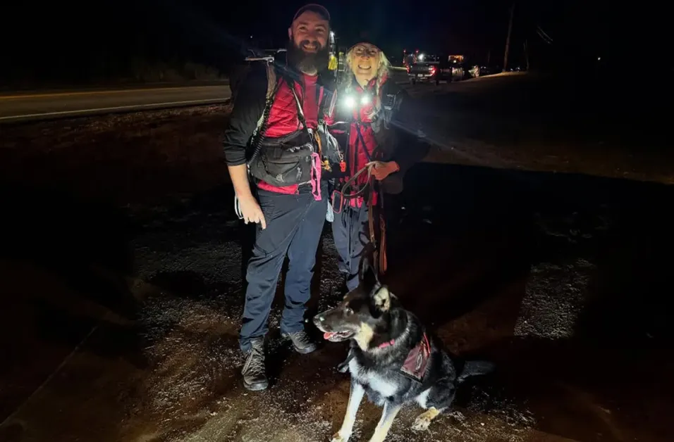 Немска овчарка спаси изгубено двегодишно дете от смърт в ледена гора