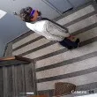 Мъж нахлу в софийски блок, опита да отключи апартаменти СНИМКИ Мъж нахлу в софийски блок, опита да отключи апартаменти СНИМКИ