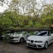 Огромно дърво рухна върху коли в София СНИМКИ Огромно дърво рухна върху коли в София СНИМКИ