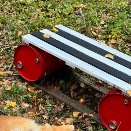 Сред забързаното ежедневие и сивотата на града един човек показа