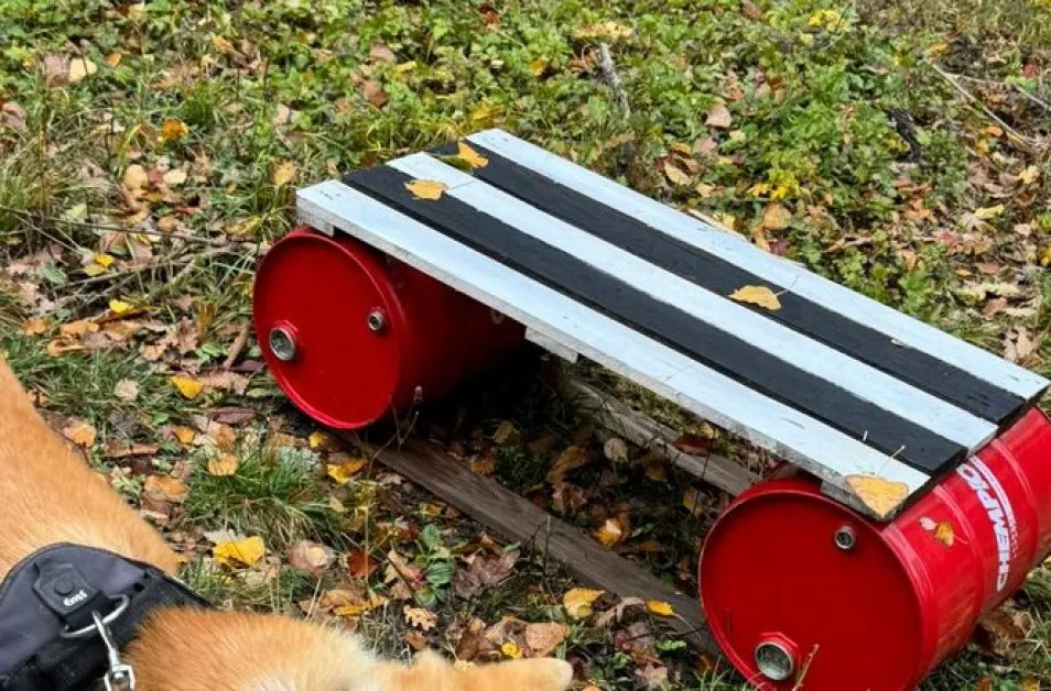 Неизвестен вдъхнови със свое дело в планина над София