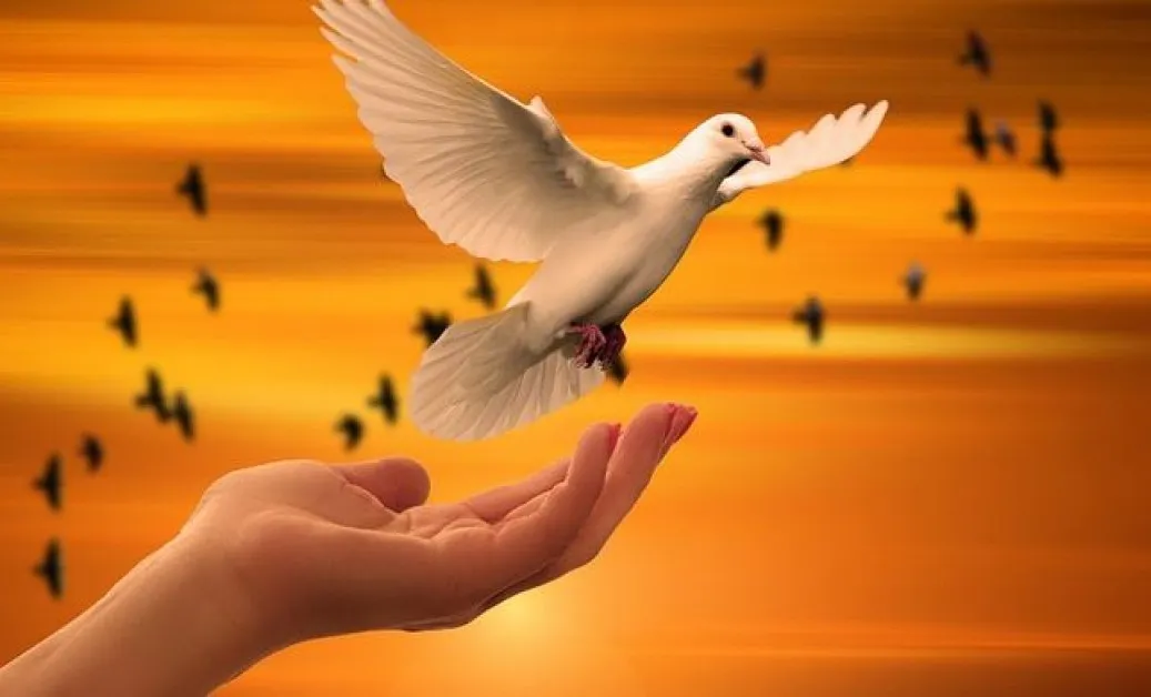 34% от българите вярват в задгробния живот,  65% са убедени, че „всичко се връща"