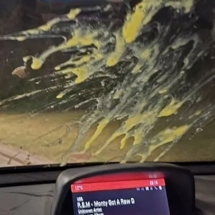 Асеновградчани пропищяха от опасните бели на деца