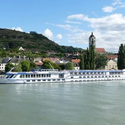 Круизен кораб е заседнал на Дунав близо до град Гърла