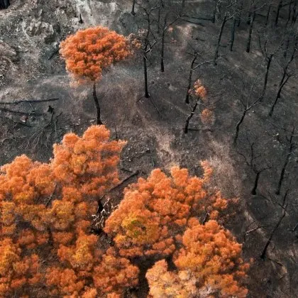 Без незабавни и мащабни съкращения на въглеродните емисии планетата може