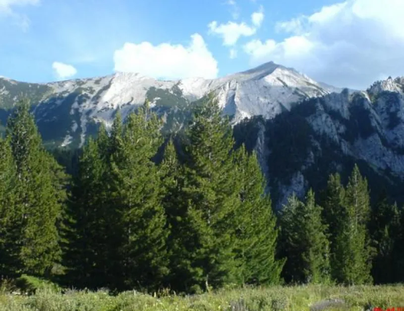 Изчезнал преди 17 години мъж „възкръсна" – открит е жив в планината над Банско!