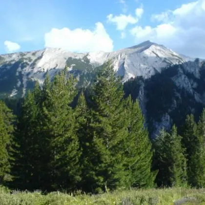 Изчезнал преди 17 години мъж „възкръсна" – открит е жив в планината над Банско! Изчезнал преди 17 години мъж „възкръсна" – открит е жив в планината над Банско!