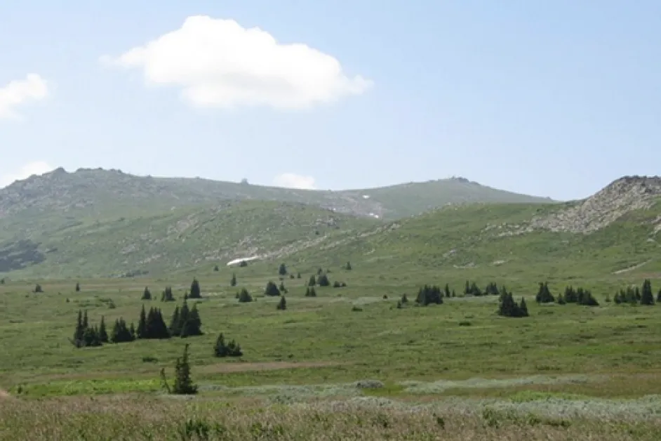 Издирват жена, изчезнала на Витоша