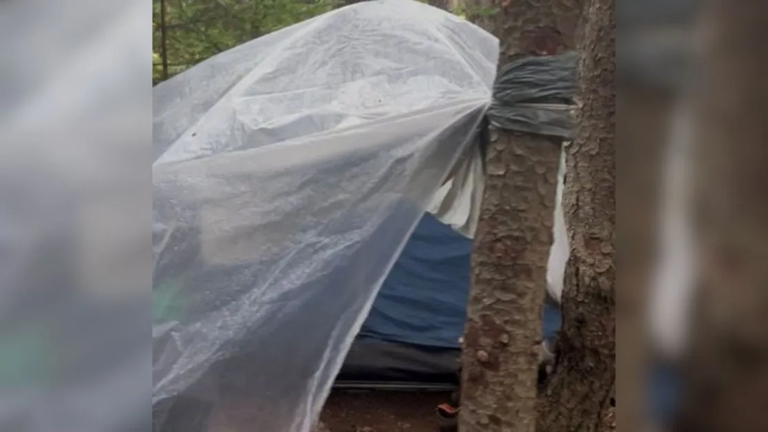 Лихвари търсили обявения за мъртъв преди години скитник в Пирин