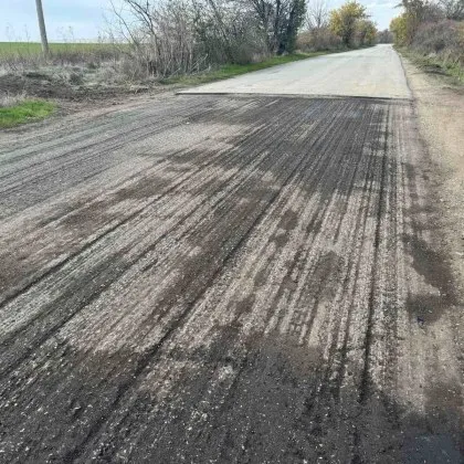 Пътният експерт Диана Русинова от Европейския център за транспортни политики