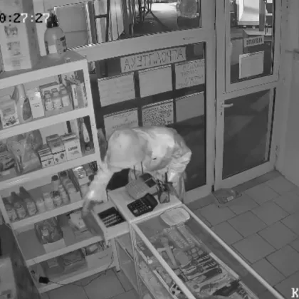 Агроаптека намираща се на пазар Вл Варненчик във Варна стана