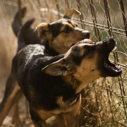 91 годишен мъж от джебелското село Плазище е настанен в болница след като