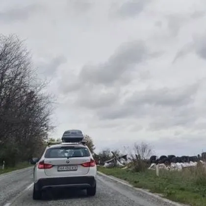 Нови подробности за мелето за катастрофата с трима пострадали в