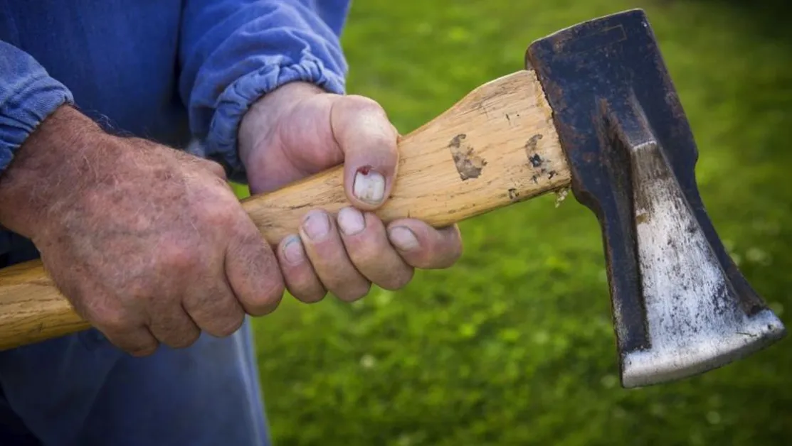 Пуснаха под гаранция мъжа, нападнал с брадва полицай във Варненско