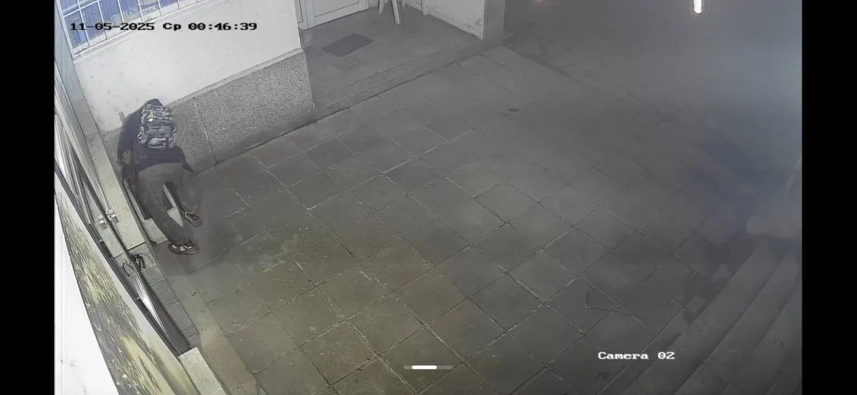 Акция "Туя": Столичанин отмъкна посадено растение, ще го върне ли? СНИМКИ