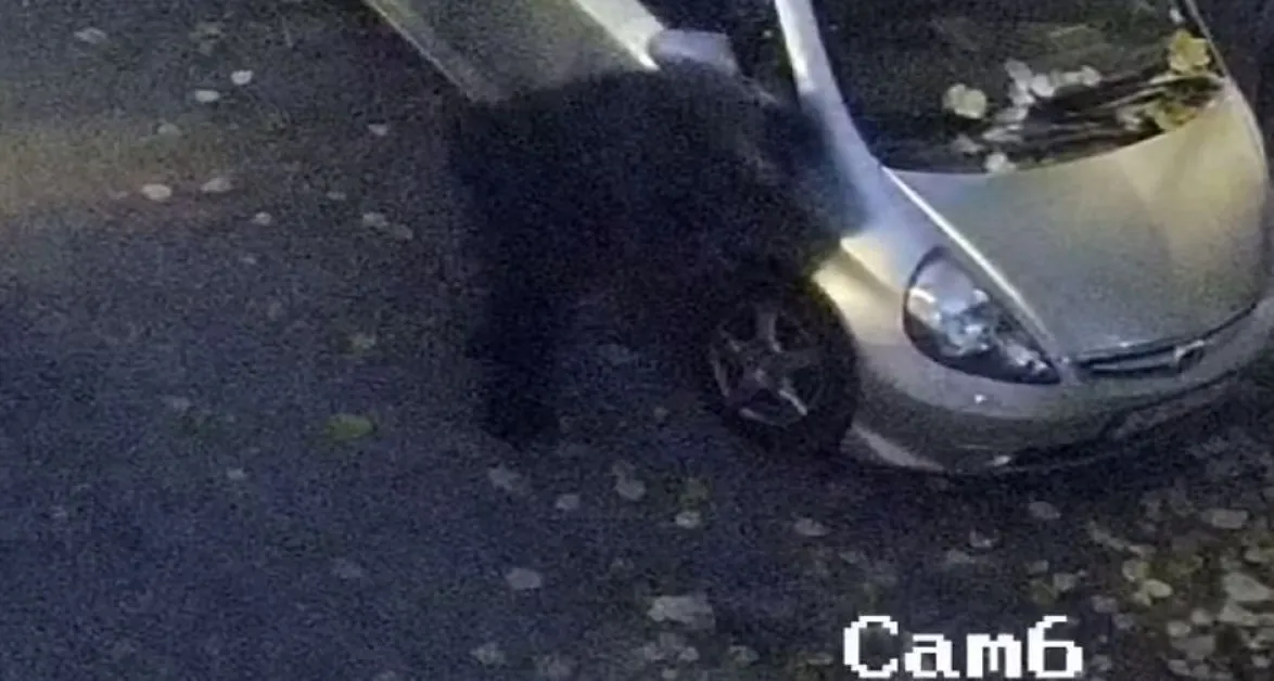 Два пъти за година: Нарязаха гуми на шофьор в София, издирват извършителя СНИМКИ