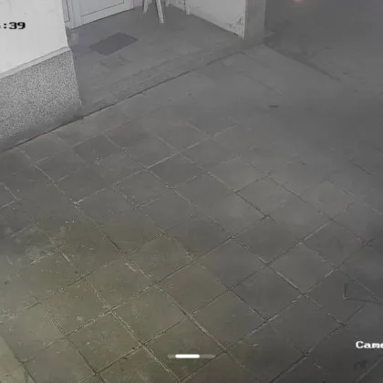 Акция "Туя": Столичанин отмъкна посадено растение, ще го върне ли? СНИМКИ