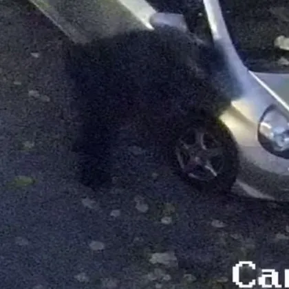 Липсата на паркоместа из София води до редица конфликтни ситуации