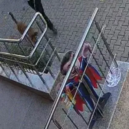 Обвиниха мъж с куче в грозно дело, изчезна купичка за 2-3 лева