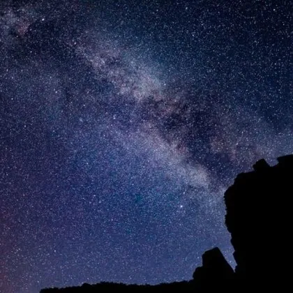 Ново проучване оспорва теория носител на Нобелова награда Авторите твърдят