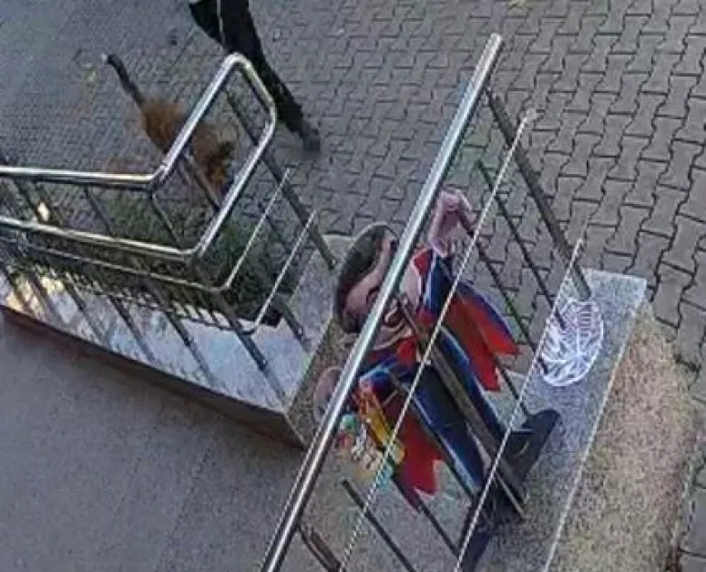 Обвиниха мъж с куче в грозно дело, изчезна купичка за 2-3 лева